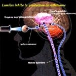 La glande pinéale c’est la vision quantique à travers les mondes