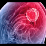 Un autre article intéressant sur la Glande Pinéale