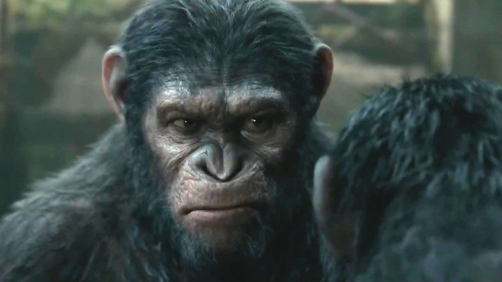 la planete des singes l affrontement videos 53a2a4cc8b6f6