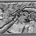 Quand l’Histoire “dérange”. 7000 cranes Diocephales à Malte retiré de la vue du grand public