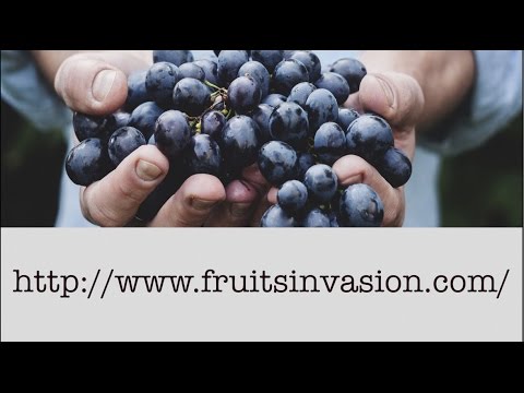 Opération Fruits Invasion – Dimanche 27 Novembre 2016