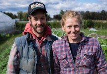 Sur 1ha, cette micro ferme bio génère 150000$ de chiffre d’affaires