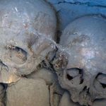 ob f5c65e two skulls 1