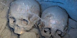 La recherche montre que les êtres humains anciens ont eu des rapports sexuels avec des êtres non humains