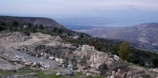 Israël Échec et Mat au plateau du Golan