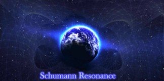 Synchronisation des rythmes du système nerveux autonome humain avec l’activité géomagnétique chez les sujets humains