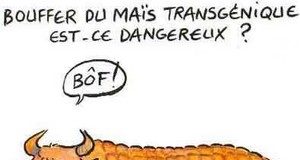 OGM : Le Brésil et les Etats-Unis font grimper la surface mondiale