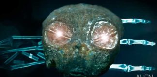 Message du 5 août 2017 de la part de Thierry Jamin