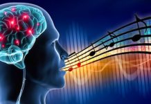 La Neuroscience du Chant