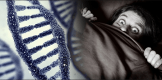 La recherche confirme que nous héritons de l’accumulation des traits non génétiques (peur, joie) de nos ancêtres tout au long de leur vie