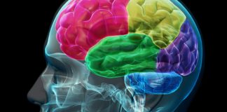 Vous n’avez pas de problème chimique dans le cerveau