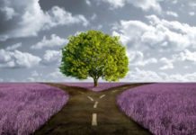 Des nanoparticules dans tous les gâteaux et bonbons pour enfant testés