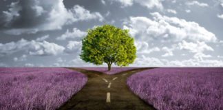 Des nanoparticules dans tous les gâteaux et bonbons pour enfant testés