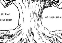 Melinda Gates offre 375 millions de dollars dans le contrôle de la population: l’avortement et la contraception (lire stérilisation)