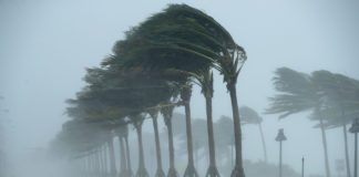 Irma, comment expliquer un tel phénomène ?