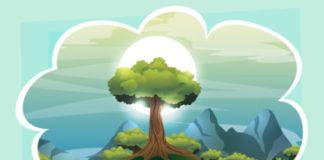 IMAGINATION – le pouvoir oublié