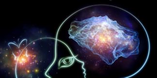 Intuition : Les études scientifiques