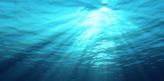 L’eau de Quinton ? Le remède originel !