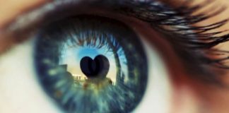 Comment se passe l’Éveil ?