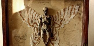 Le mystère des squelettes de fées et de loups garous trouvés à Londres