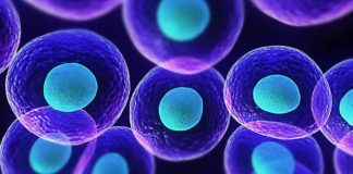 Comment percevoir “l’Autre” en tant qu’un autre “Soi même” ?