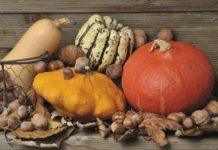 Carrefour : 90% des variétés cultivables ont DEJA DISPARU