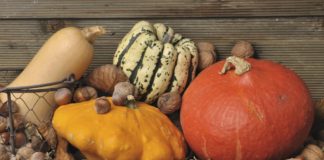 Carrefour : 90% des variétés cultivables ont DEJA DISPARU