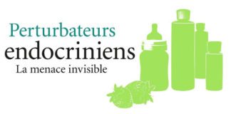 Les perturbateurs endocriniens associés à des troubles du comportement