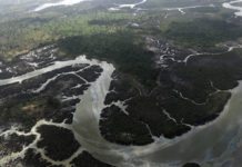 Amnesty enquête sur Shell au Nigéria l’accusant de complicité de crimes et de tortures