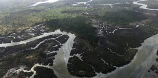 Amnesty enquête sur Shell au Nigéria l’accusant de complicité de crimes et de tortures