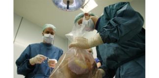 Si les réfugiés sans sous ne gagnent pas l’Europe, en revanche, leurs organes y arrivent