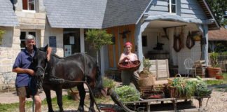 Une petite ferme normande devient un modèle dans le monde entier