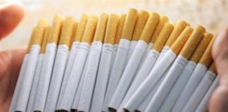 Du polonium dans les cigarettes : comment le grand secret des fabricants a été dévoilé