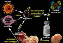 Une enzyme causant le Cancer dans les Vaccins !