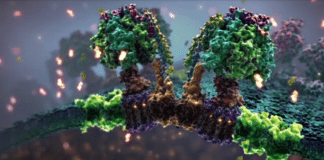 L’Odyssée Cellulaire