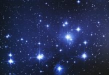 Les origines de l’humanité