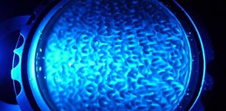 Eau et vibrations, l’information de l’eau par la voix