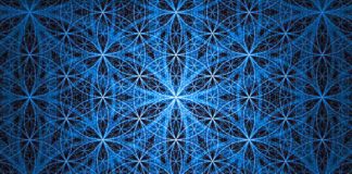 Explications de la Fleur de Vie par Nassim Haramein