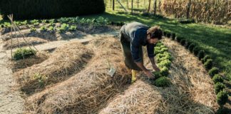 Langouët vise une autosuffisance alimentaire 100% permaculture