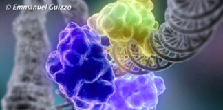 CANCER, un business d’Etat…