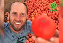 Gaspillage alimentaire : il filme des milliers de tomates abandonnées