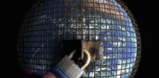 Untwine explique la Syntropie et l’anomalie primaire