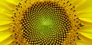 “On a tout à gagner à changer de vie” – Jean-Cédric Jacmart