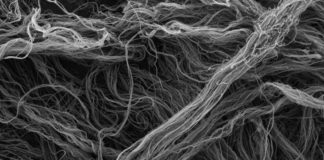 Dossier : Filaments aéroportés