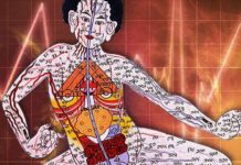 La science prouve enfin que les méridiens existent