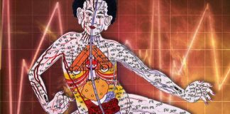 La science prouve enfin que les méridiens existent