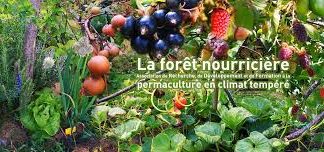 Les besoins des plantes et les besoins humains