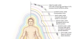Anatomie Énergétique : Guide complet des champs énergétiques humains et des corps éthériques