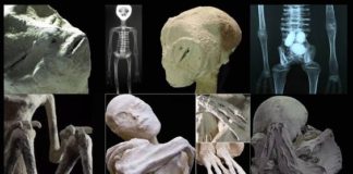 « Bravo à Thierry, à toute son équipe et à M6 ! »