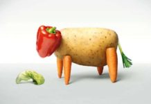 Moins de viande ? Le guide complet des protéines végétales indispensables